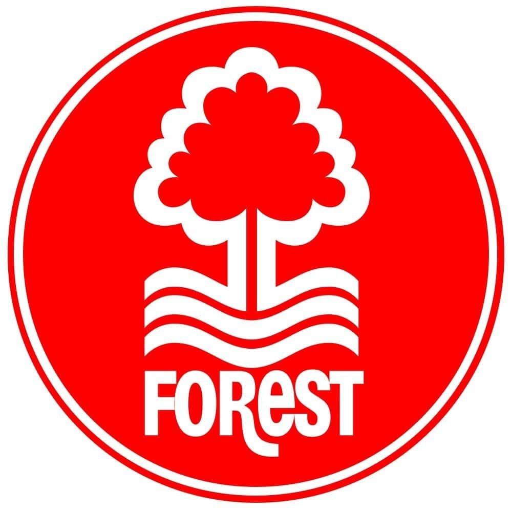 Transferts : Jean-Philippe Mateta tout proche de Nottingham Forest